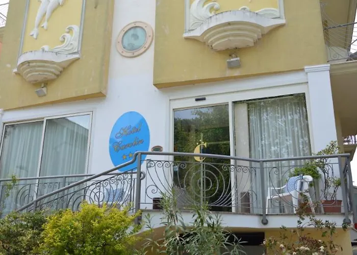 Carolin 3* Rimini